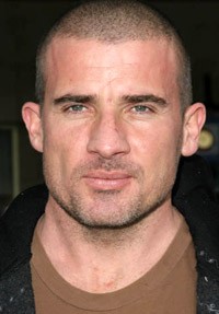 多明尼克普謝爾